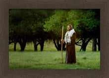 Load image into Gallery viewer, Lord Of The Vineyard
