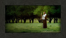 Load image into Gallery viewer, Lord Of The Vineyard
