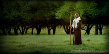 Load image into Gallery viewer, Lord Of The Vineyard
