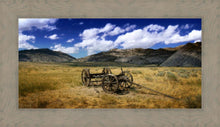 Load image into Gallery viewer, Martin's Cove
