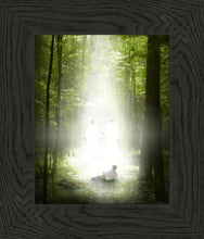 Load image into Gallery viewer, Oh How Lovely Was The Morning
