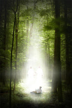Load image into Gallery viewer, Oh How Lovely Was The Morning
