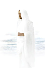 Load image into Gallery viewer, Peace in Christ
