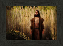 Load image into Gallery viewer, Prepare ye the way of the Lord
