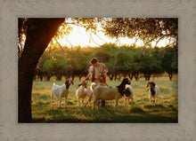 Load image into Gallery viewer, Tending the Flock
