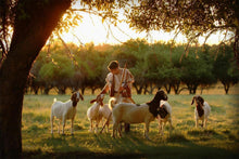 Load image into Gallery viewer, Tending the Flock
