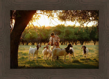 Load image into Gallery viewer, Tending the Flock
