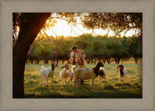 Load image into Gallery viewer, Tending the Flock
