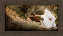 Load image into Gallery viewer, The Comforter
