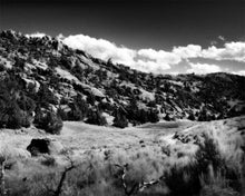 Load image into Gallery viewer, The Cove_Martins Cove
