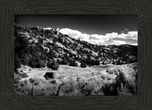 Load image into Gallery viewer, The Cove_Martins Cove
