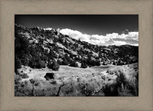 Load image into Gallery viewer, The Cove_Martins Cove
