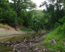 Load image into Gallery viewer, The Creek_Hauns Mill
