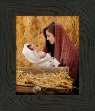 Load image into Gallery viewer, The Son of God
