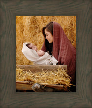 Load image into Gallery viewer, The Son of God

