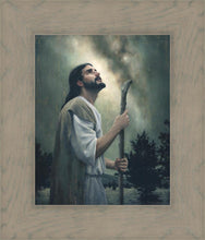 Load image into Gallery viewer, In Awe of His Creations
