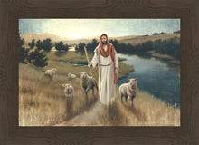 Load image into Gallery viewer, The Rescue
