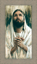 Load image into Gallery viewer, Thy Will Be Done
