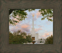 Load image into Gallery viewer, Denver Temple 01

