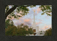 Load image into Gallery viewer, Denver Temple 01
