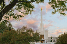 Load image into Gallery viewer, Denver Temple 01

