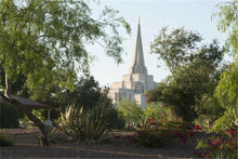 Load image into Gallery viewer, Gilbert Temple 14

