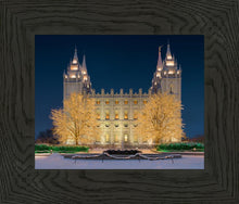 Load image into Gallery viewer, Holy Night
