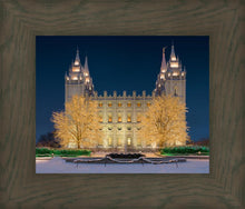 Load image into Gallery viewer, Holy Night
