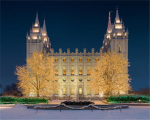 Load image into Gallery viewer, Holy Night
