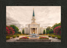 Load image into Gallery viewer, Houston Everlasting
