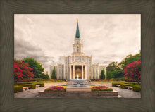 Load image into Gallery viewer, Houston Everlasting
