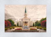 Load image into Gallery viewer, Houston Everlasting
