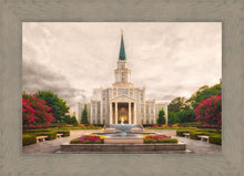 Load image into Gallery viewer, Houston Everlasting
