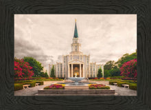 Load image into Gallery viewer, Houston Everlasting
