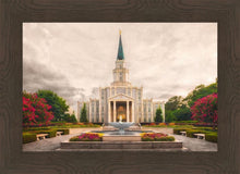 Load image into Gallery viewer, Houston Everlasting
