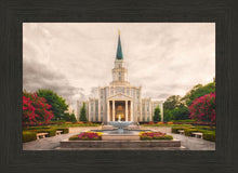 Load image into Gallery viewer, Houston Everlasting
