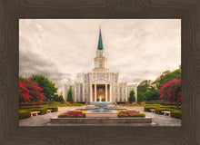 Load image into Gallery viewer, Houston Everlasting
