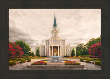 Load image into Gallery viewer, Houston Everlasting
