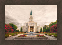 Load image into Gallery viewer, Houston Everlasting
