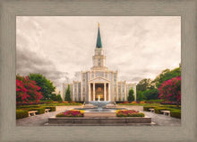 Load image into Gallery viewer, Houston Everlasting
