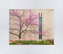 Load image into Gallery viewer, Jordan River Awakening
