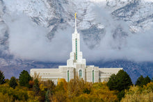 Load image into Gallery viewer, Mt. Timpanogos Hillside
