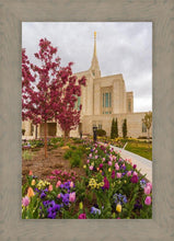 Load image into Gallery viewer, Ogden Tulips
