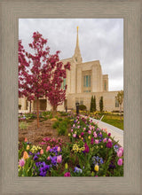 Load image into Gallery viewer, Ogden Tulips
