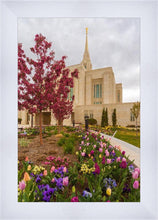 Load image into Gallery viewer, Ogden Tulips
