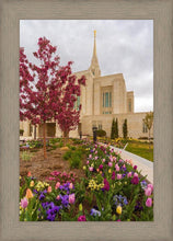 Load image into Gallery viewer, Ogden Tulips
