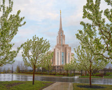 Load image into Gallery viewer, Oquirrh Mountain Rainfall
