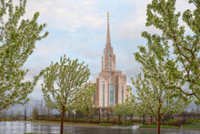 Load image into Gallery viewer, Oquirrh Mountain Rainfall
