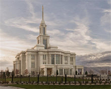 Load image into Gallery viewer, Payson Genesis
