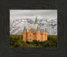 Load image into Gallery viewer, Provo Lifting Storm
